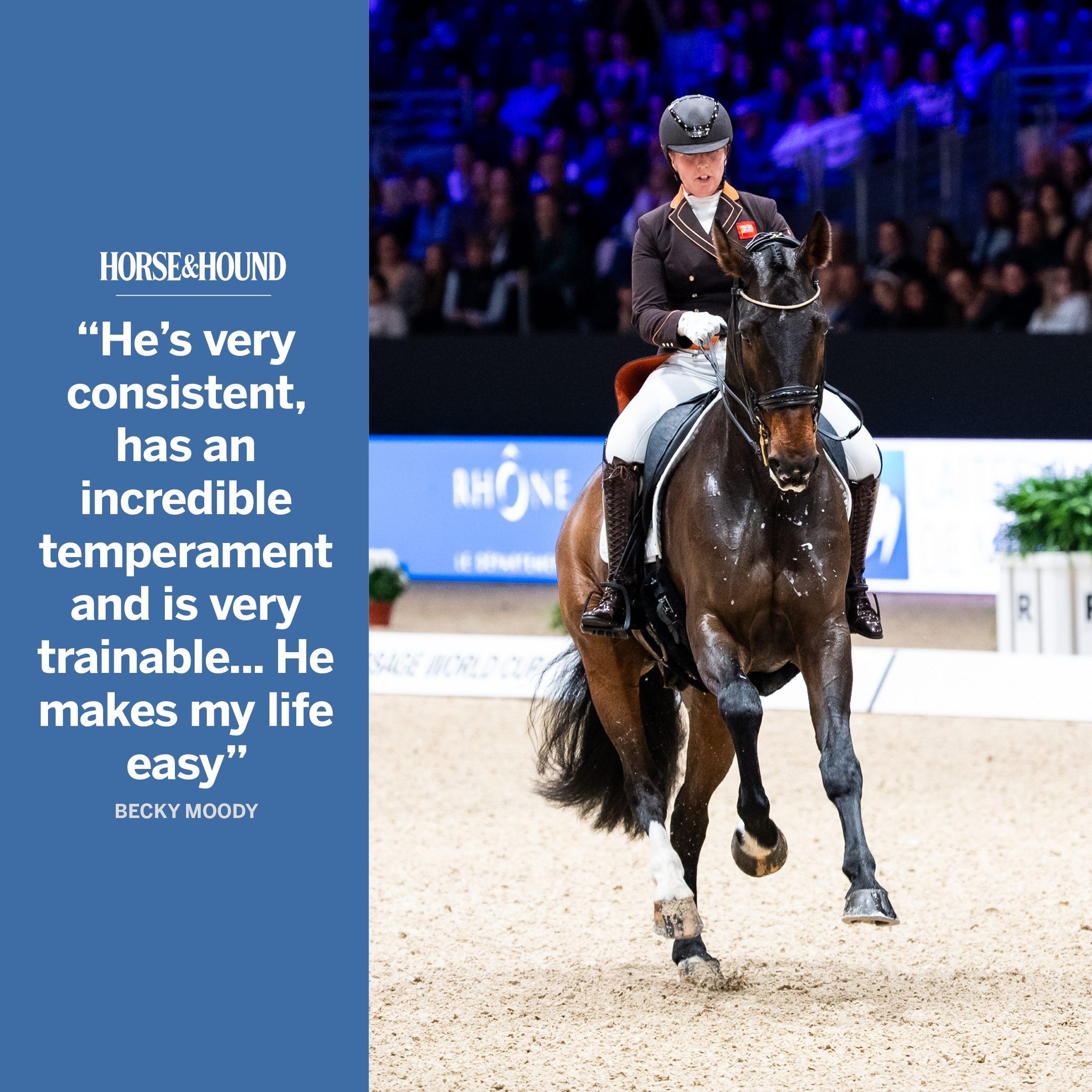 Becky Moody Dressage and... Horse & Hound Dressage Facebook