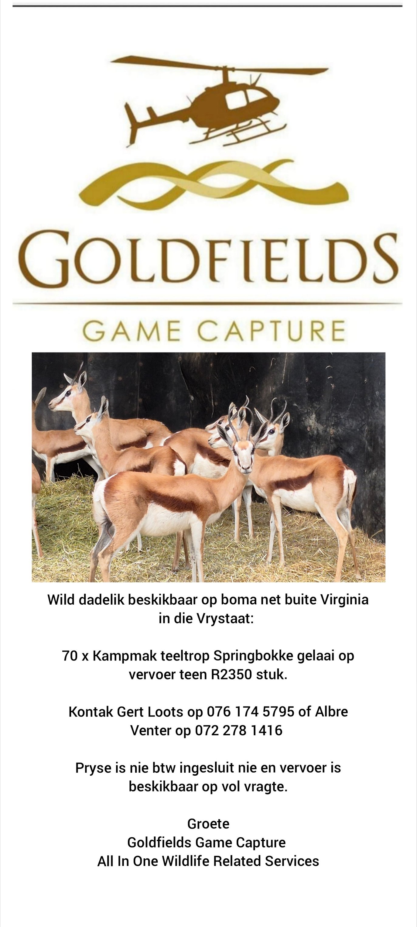 Goldfields Game Capture | Theunissen