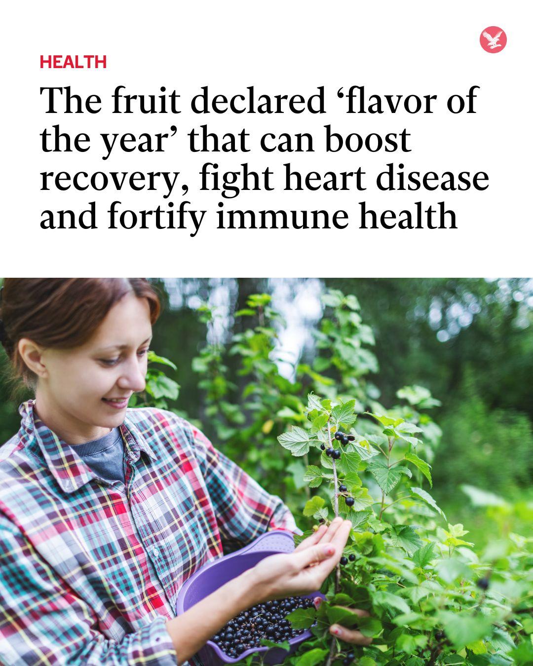 The Independent - The berry was once banned across the US... | Facebook