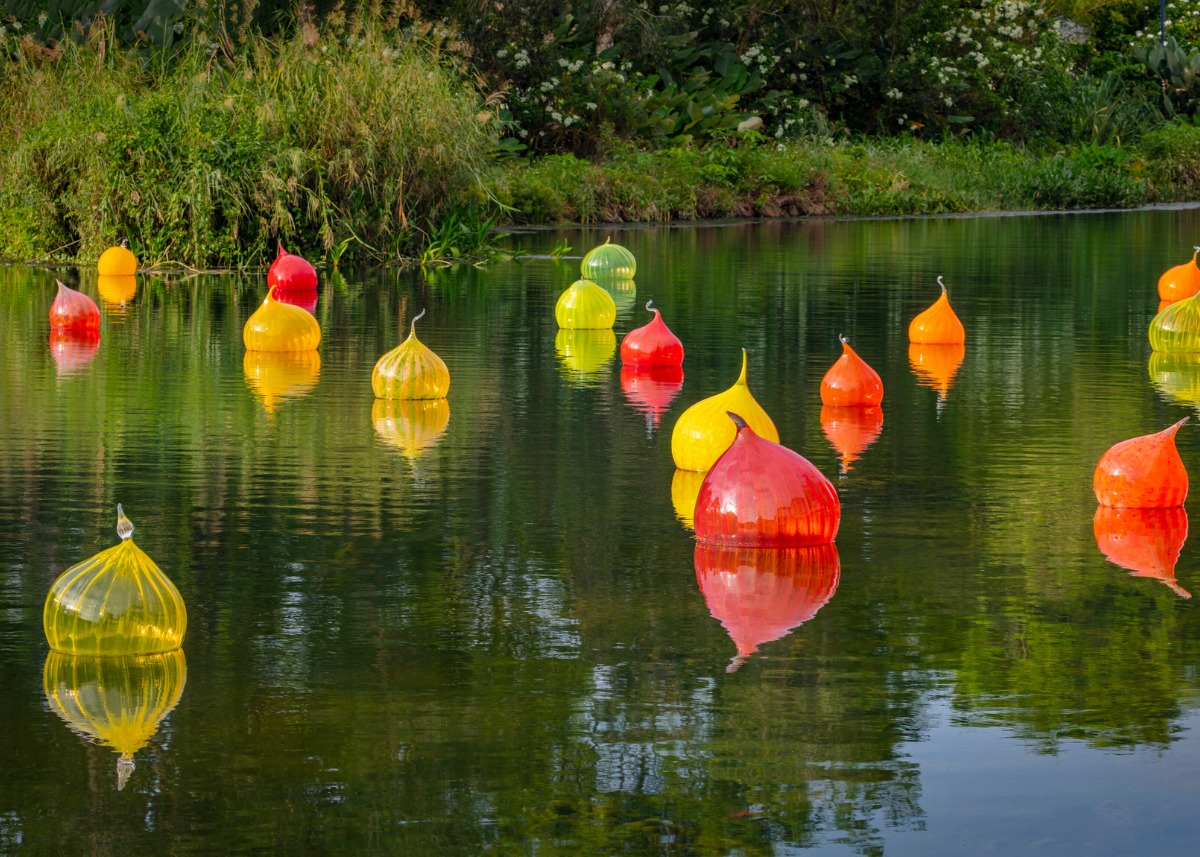 Color Meets Landscape 🌈✨ Get ready: Chihuly's “Walla Wallas” and