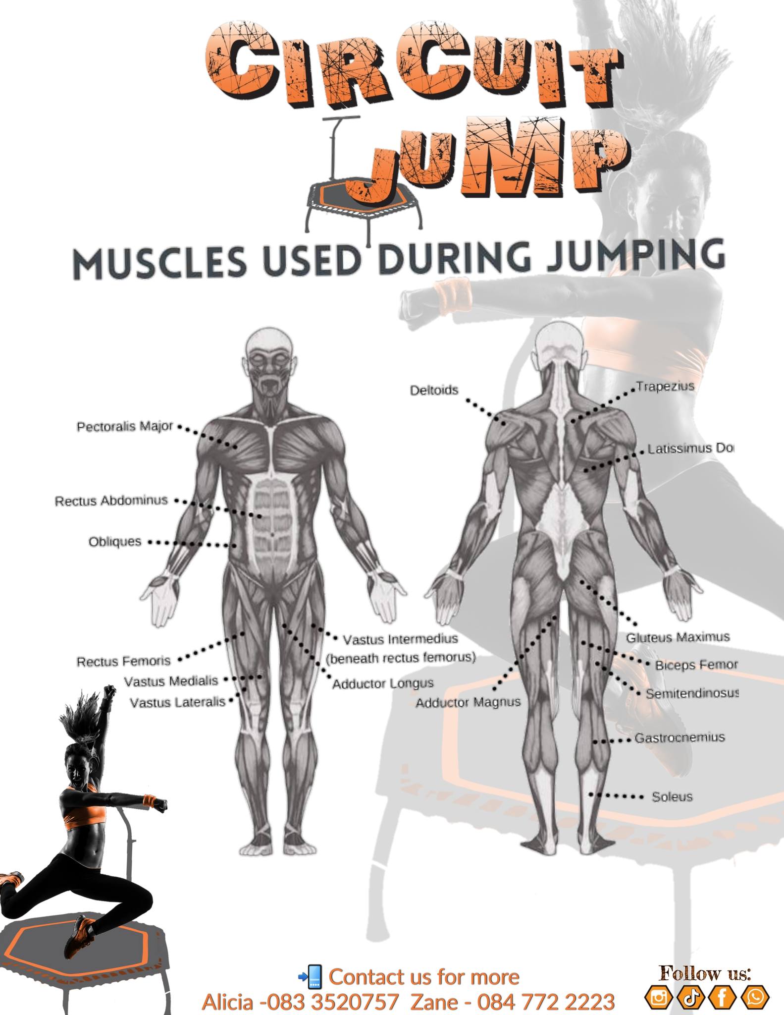 Circuit - 🦵 Mussles that work when JUMPING💪 18 Diffrent muscles that ...