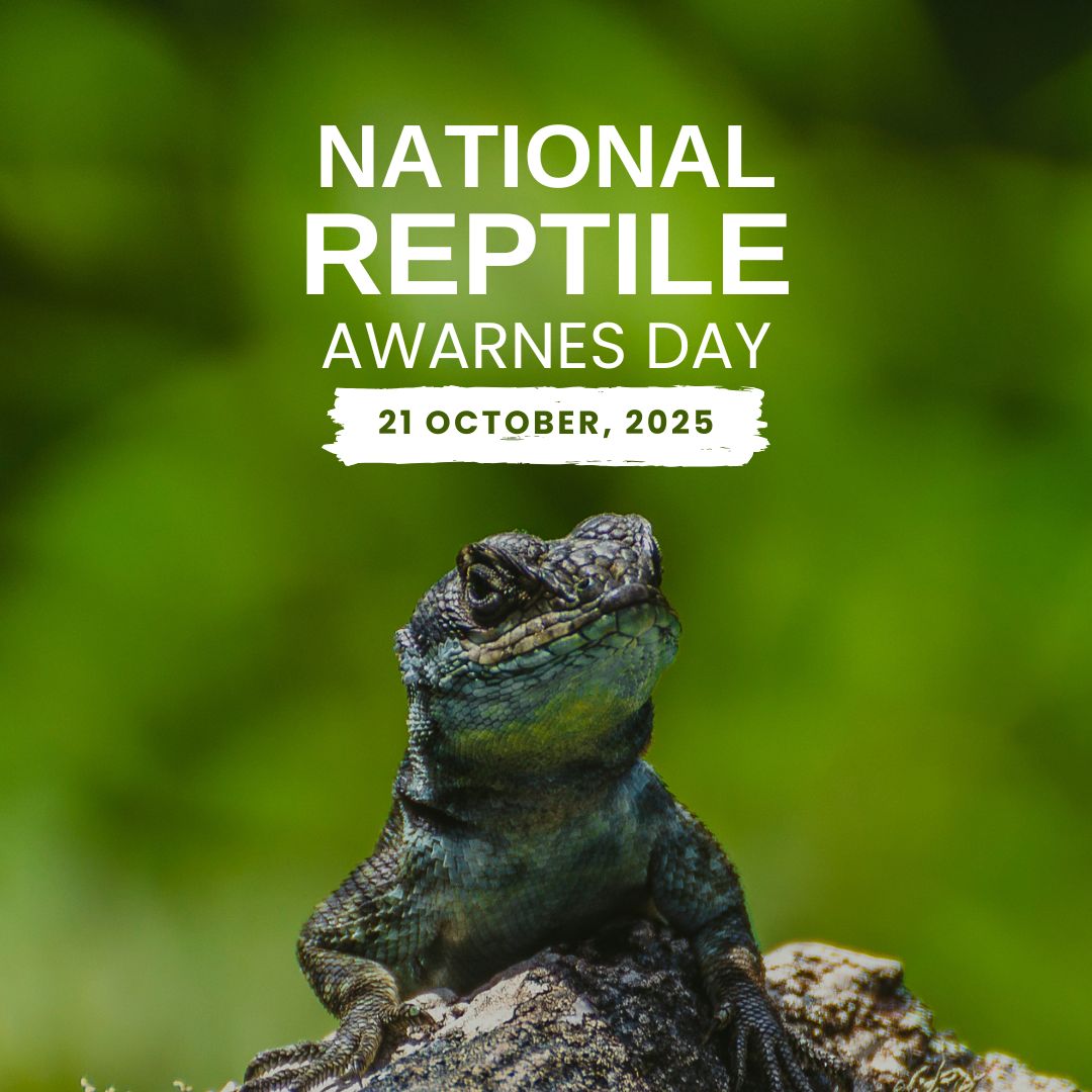 Photo inspiration: Visual Reference: Cross Happy National Reptile Awareness Day 2025 Today We