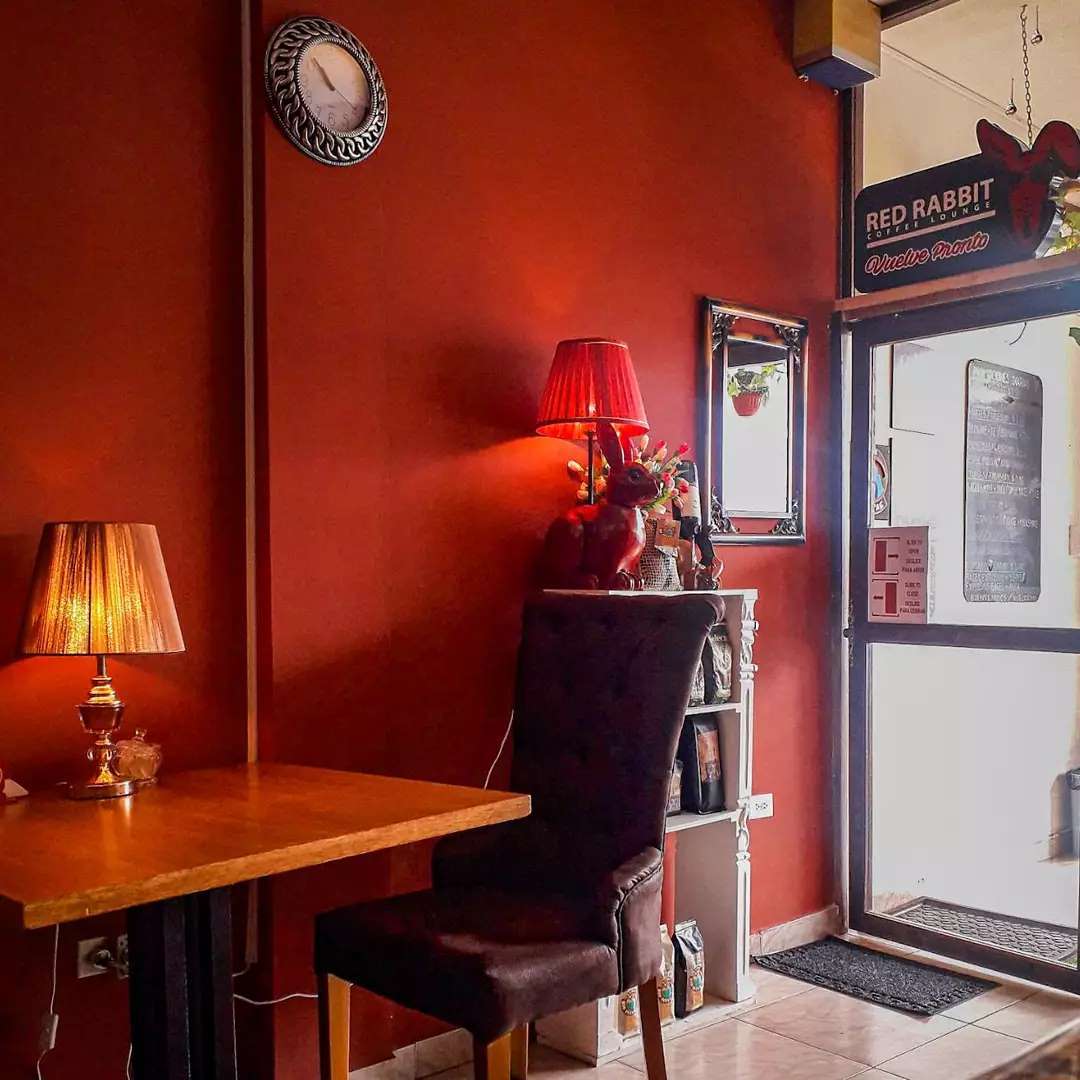 ‼️ HOY ‼️ Síguenos en nuestras... - Red Rabbit Coffee Lounge