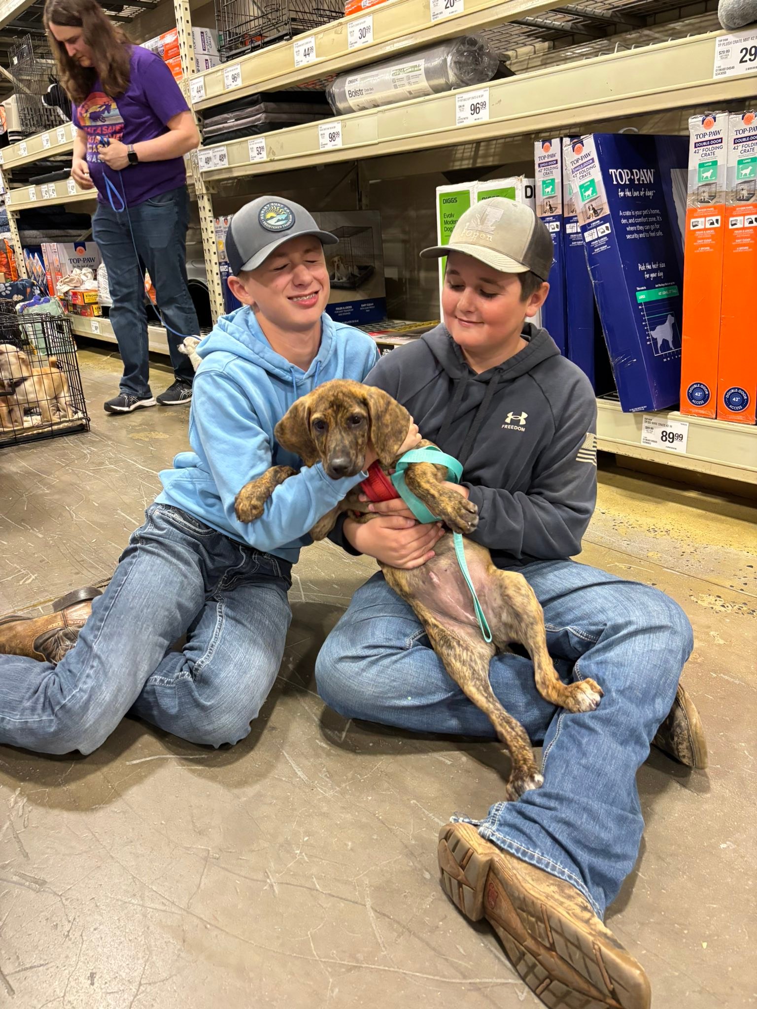Hampshire County... - Hampshire County Pet Adoption Program