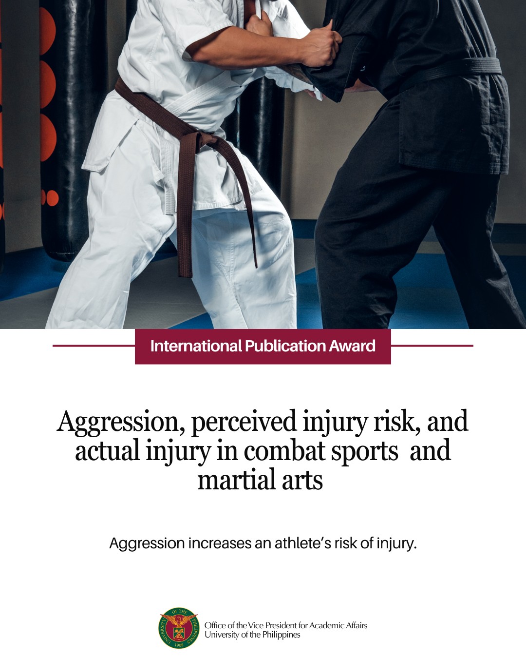 UP - RESEARCH | The relationship between aggression, perceived risk of ...