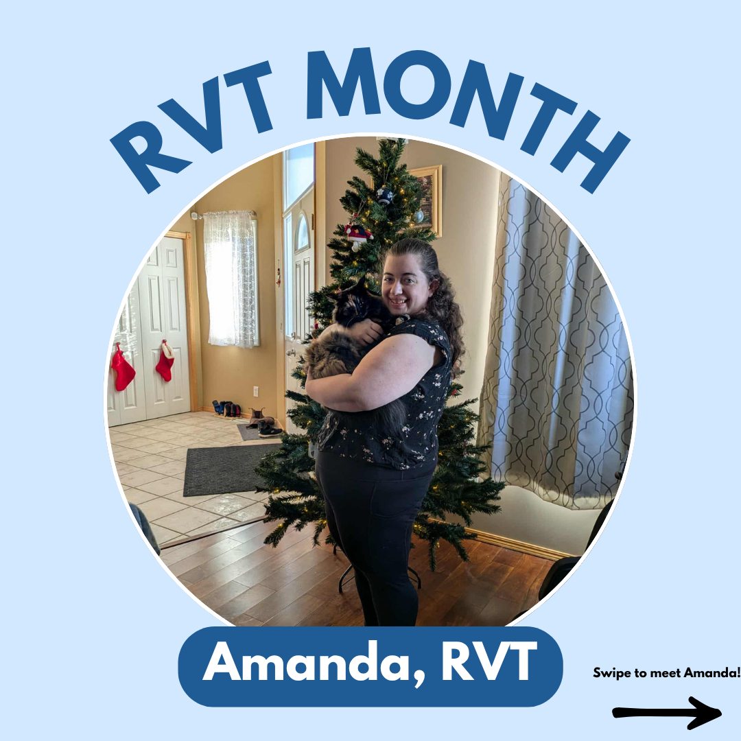 💙 Meet Amanda! 💙 Amanda loves... - Bowness Animal Hospital | Facebook
