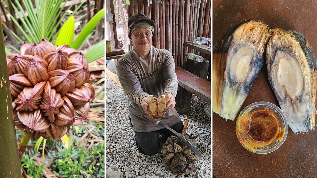 Asian - Asian Trails has launched a new half-day, community-based ...