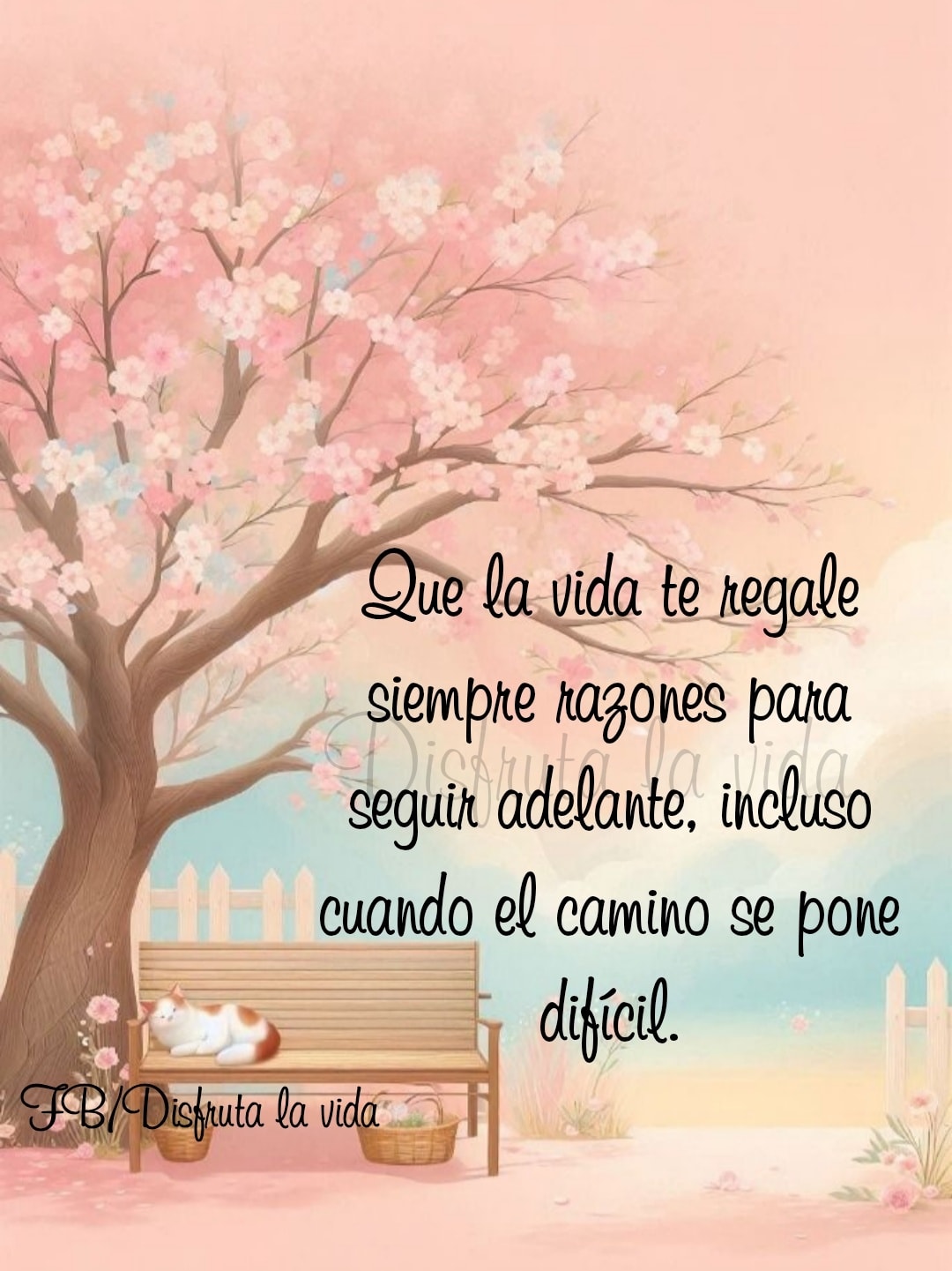Que la vida te regale siempre 🥰 - Disfruta la vida | Facebook