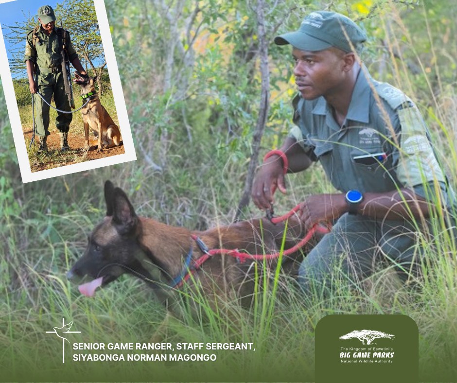 Big Game Parks - 𝐓𝐫𝐢𝐛𝐮𝐭𝐞 𝐭𝐨 𝐒𝐞𝐧𝐢𝐨𝐫 𝐆𝐚𝐦𝐞 𝐑𝐚𝐧𝐠𝐞𝐫, 𝐒𝐭𝐚𝐟𝐟... | Facebook