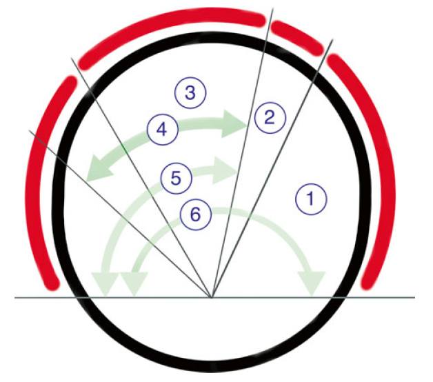 Patte Classification Explained ️... - Professor M. A. Imam | Facebook