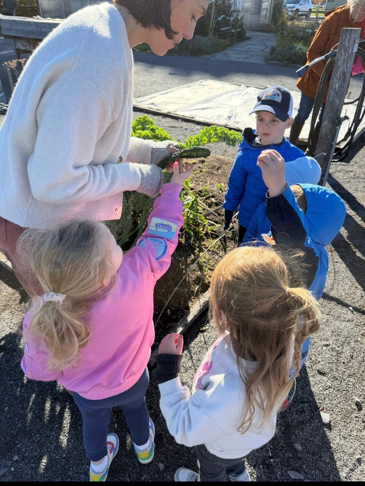 Community Roots School added a... - Community Roots School