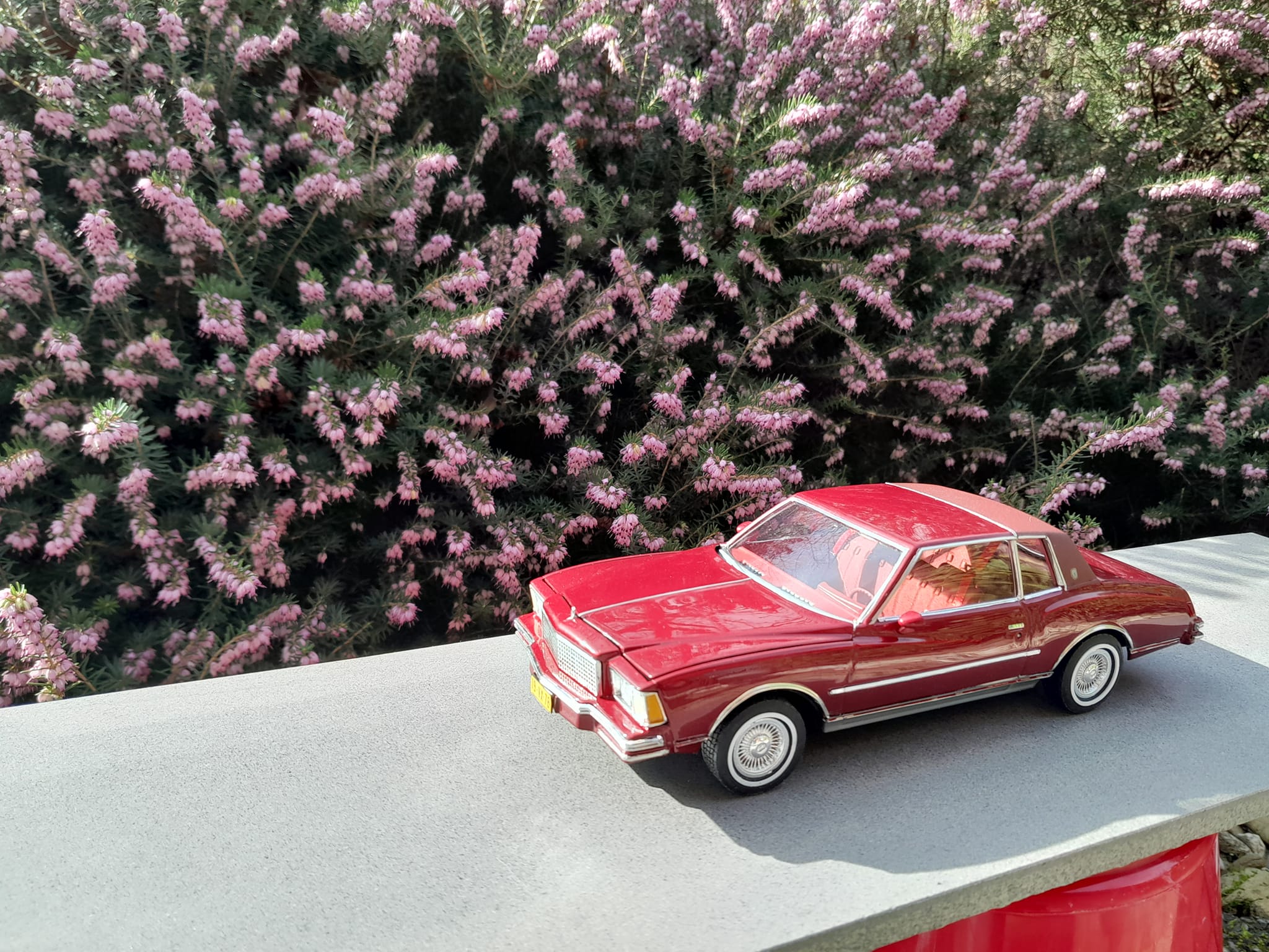 Trumpeter and MPC 1/25 scale Chevy Monte Carlo kits