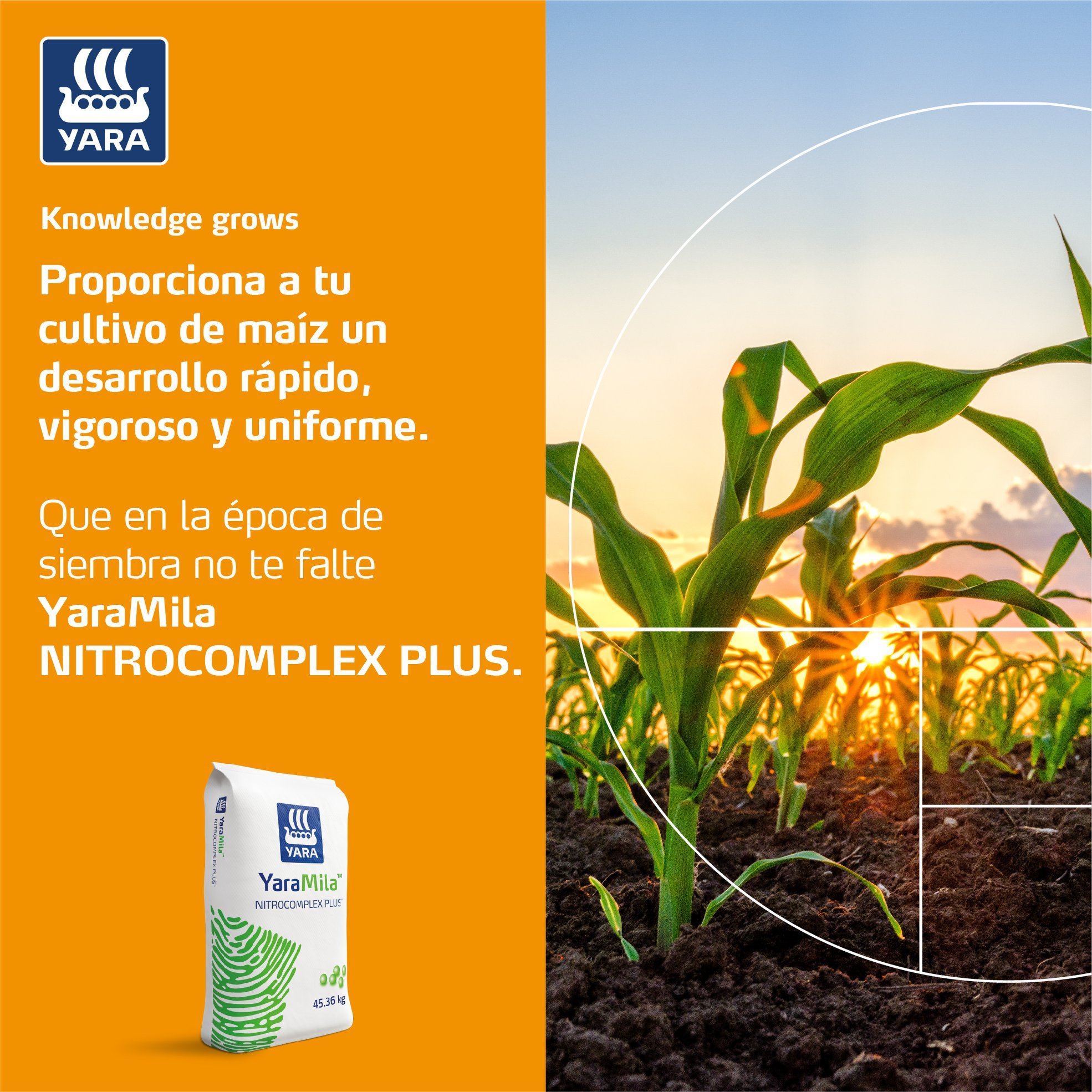 Agro Pro Panamá - Con YaraMila Nitrocomplex Plus su maizal...