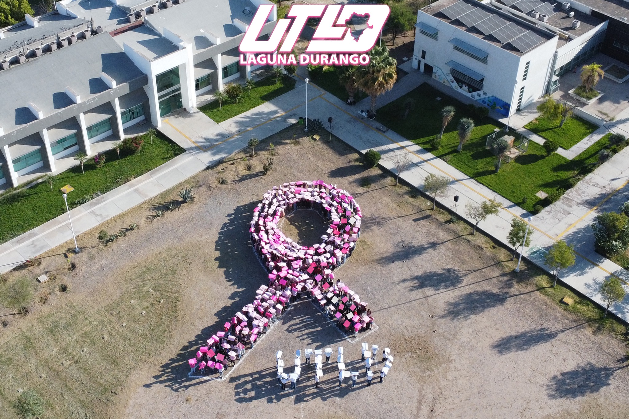 UT - 🎀 19 de octubre | Día Internacional de la Lucha contra el Cáncer ...