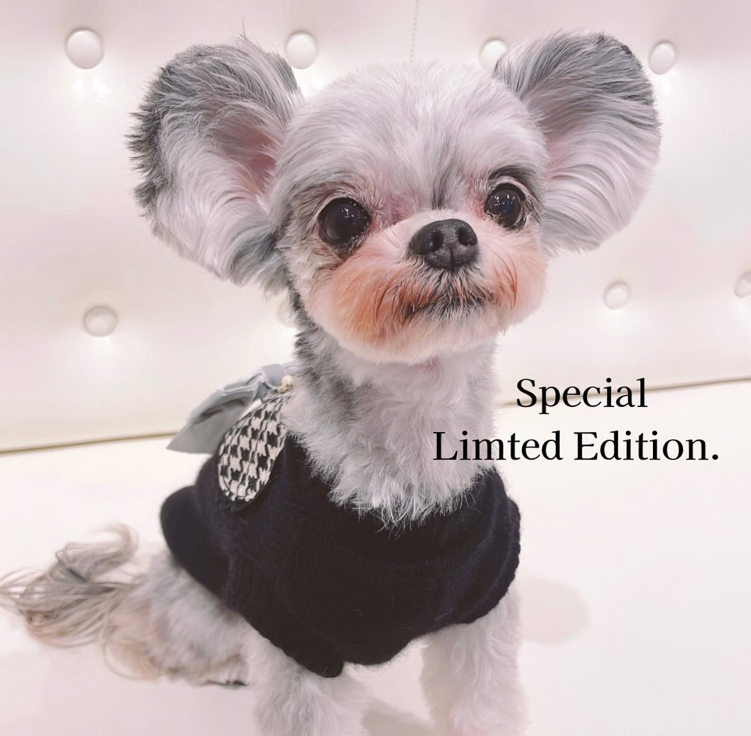 犬用品 シャーロットドレス/Charlotte's Dress/犬用の首輪/25サイズ