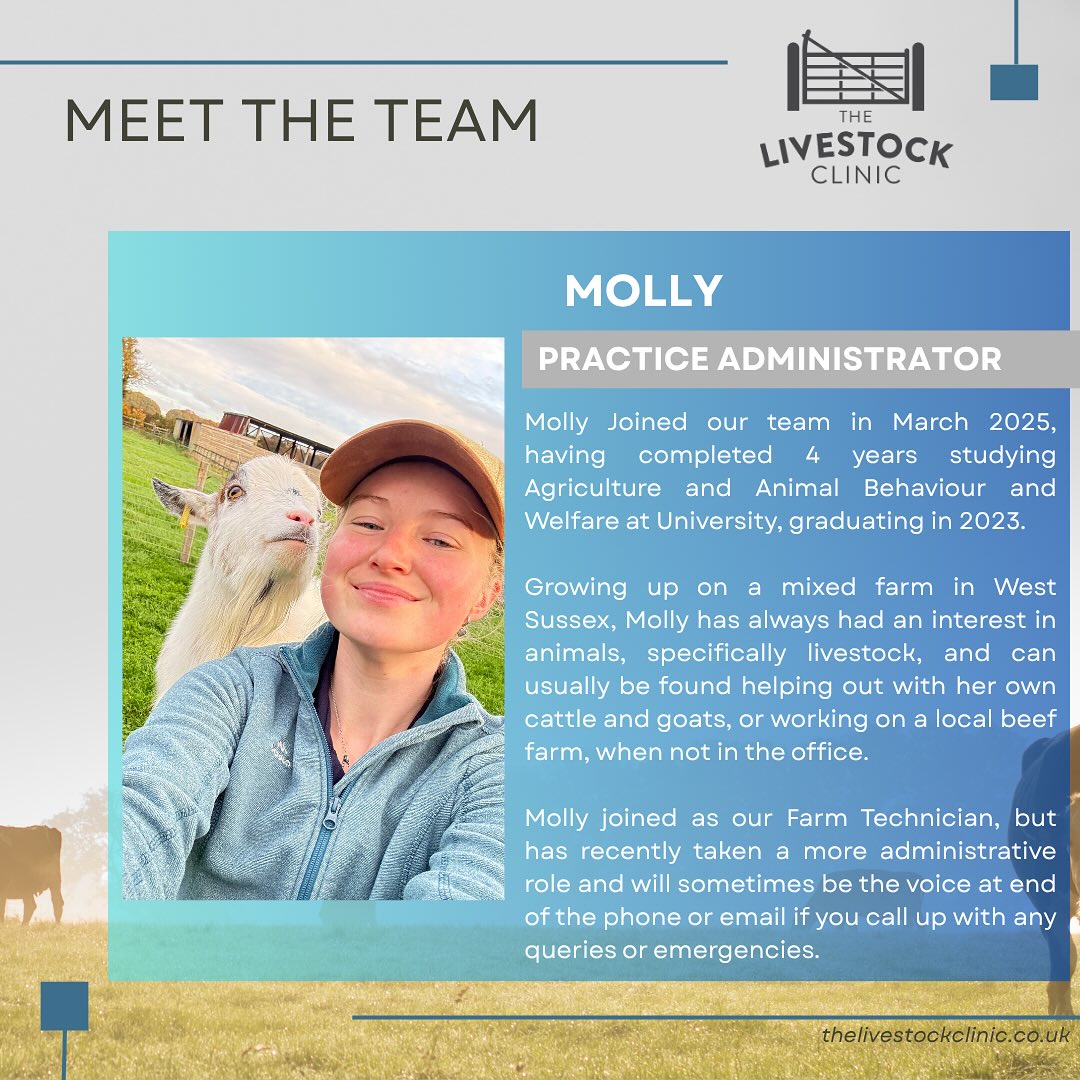 Meet the team Mondays part 4: Molly... - The Livestock Clinic | Facebook