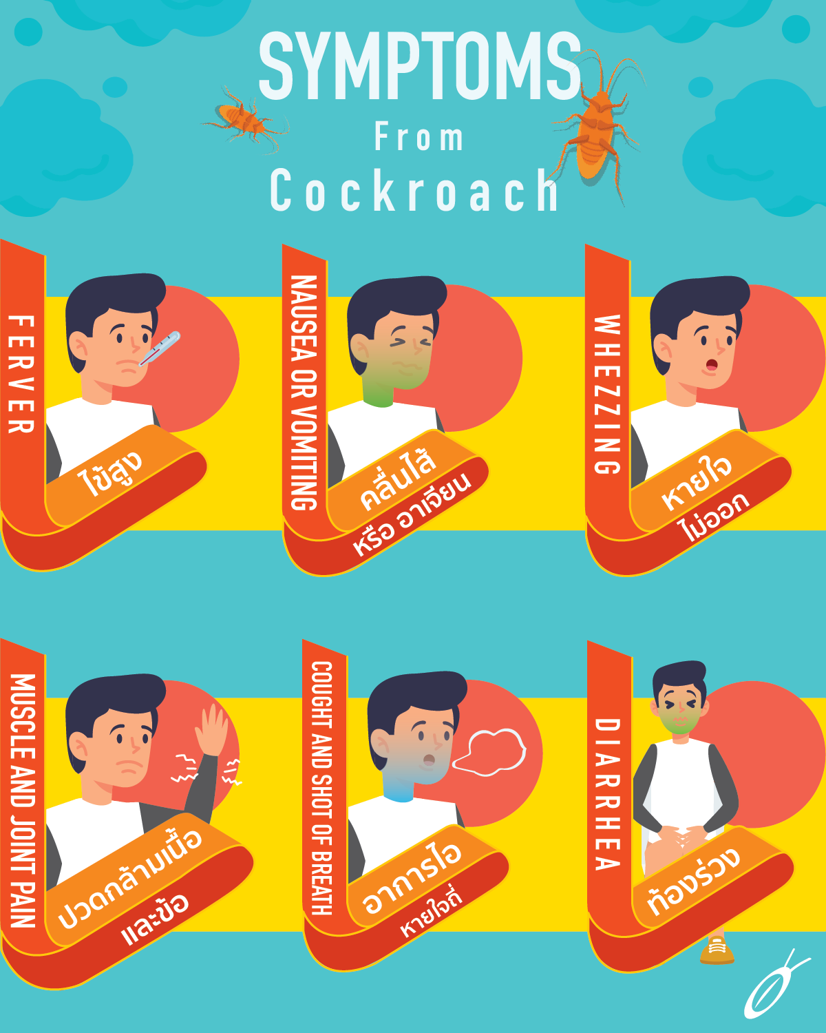 ⚠ อันตรายจากแมลงสาบ... - Doctor Cockroach | Facebook
