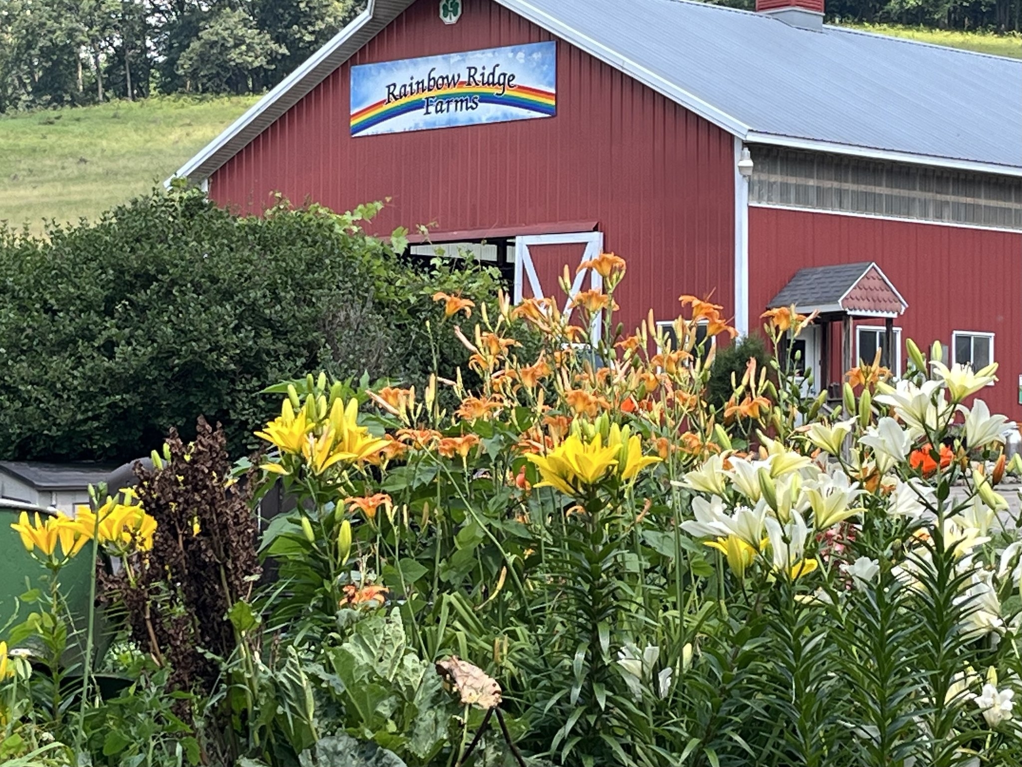 Rainbow... - Rainbow Ridge Farms B&B Onalaska/La Crosse