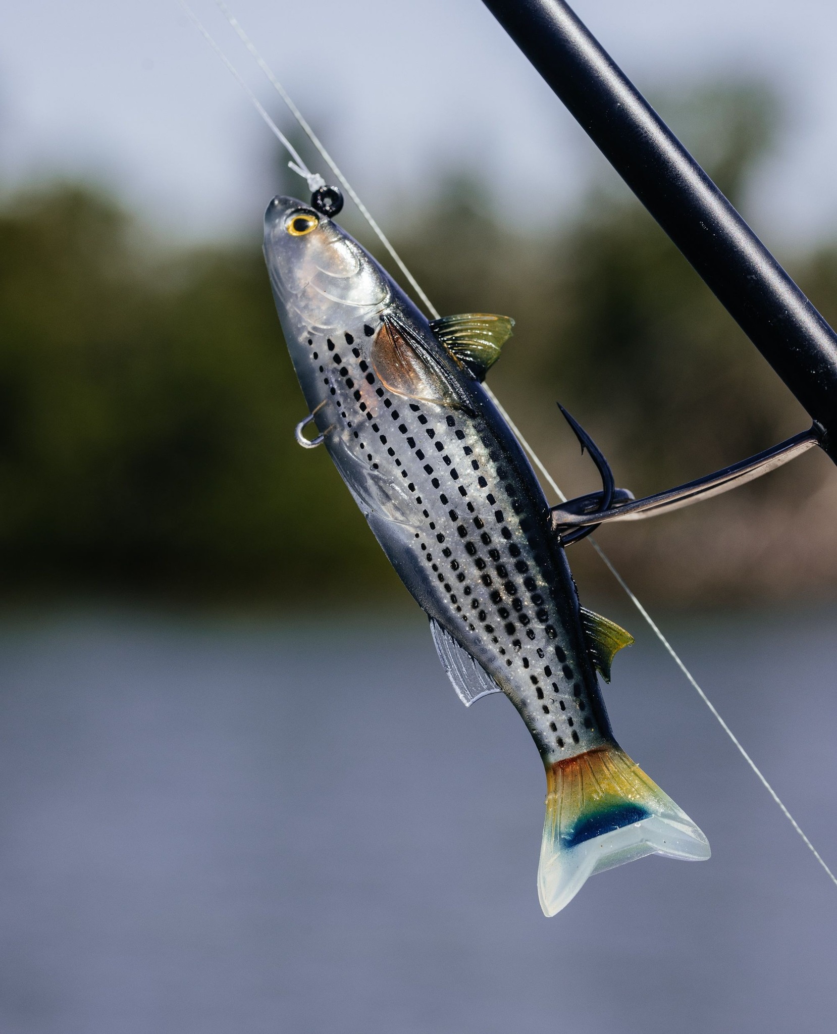 best live target lures for bass Frog LIVETARGET Ultimate 50-63mm rattle lure LIVETARGET Lures (@LTlures) • Facebook