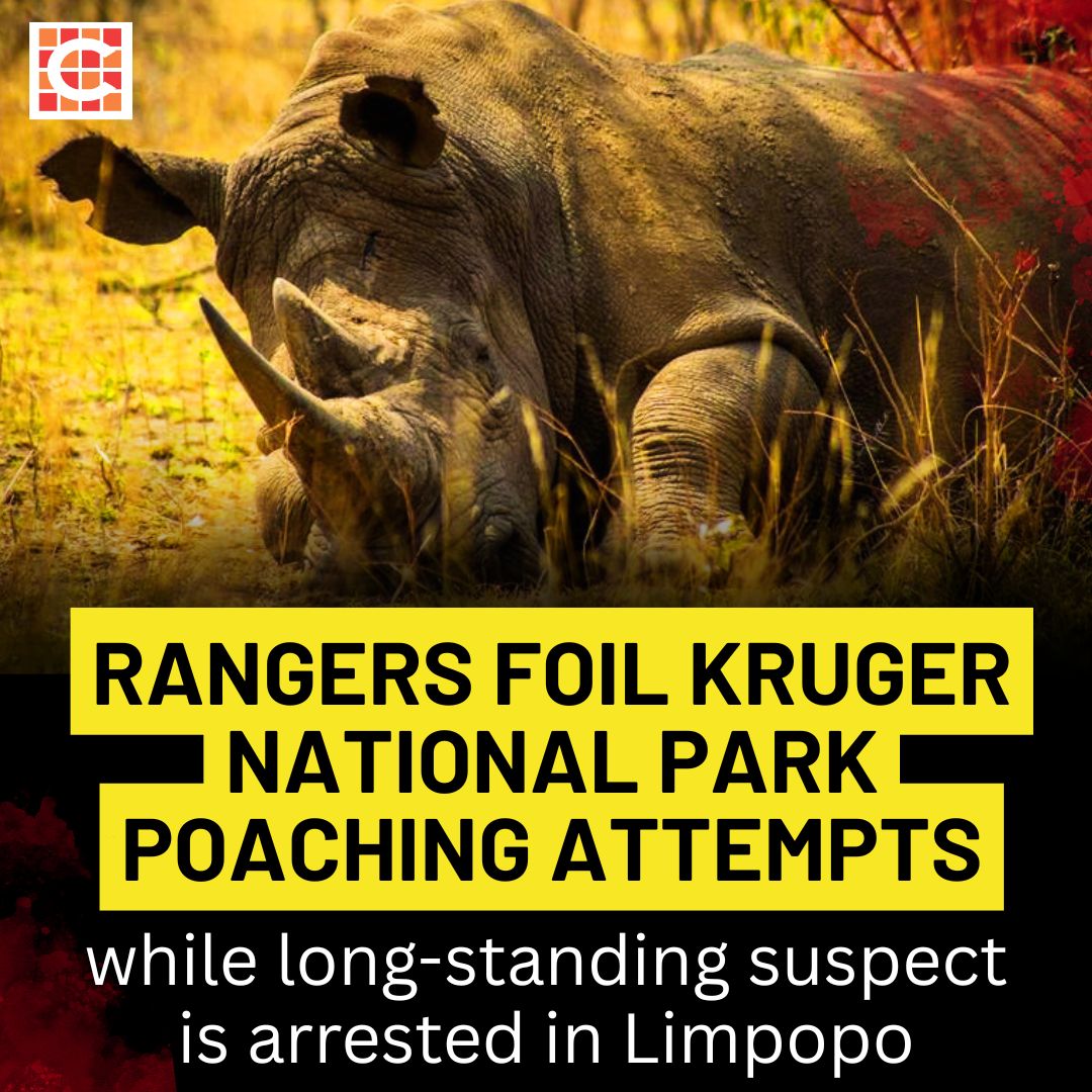 Highvelder - Caxton Network News | Two anti-poaching confrontations in ...