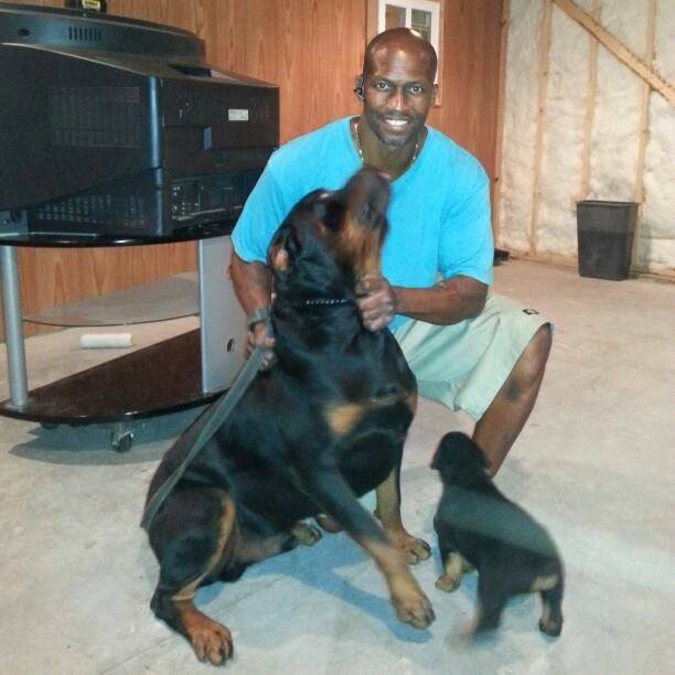 Dupree's Rottweiler Breeding Services. | Greenville NC