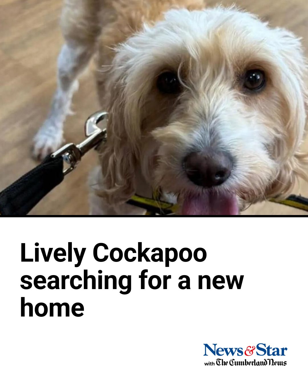 News - She's very affectionate and loves cuddles! | Facebook