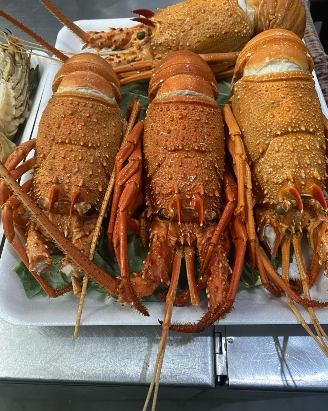 Fish Depot Pimpama | Pimpama QLD