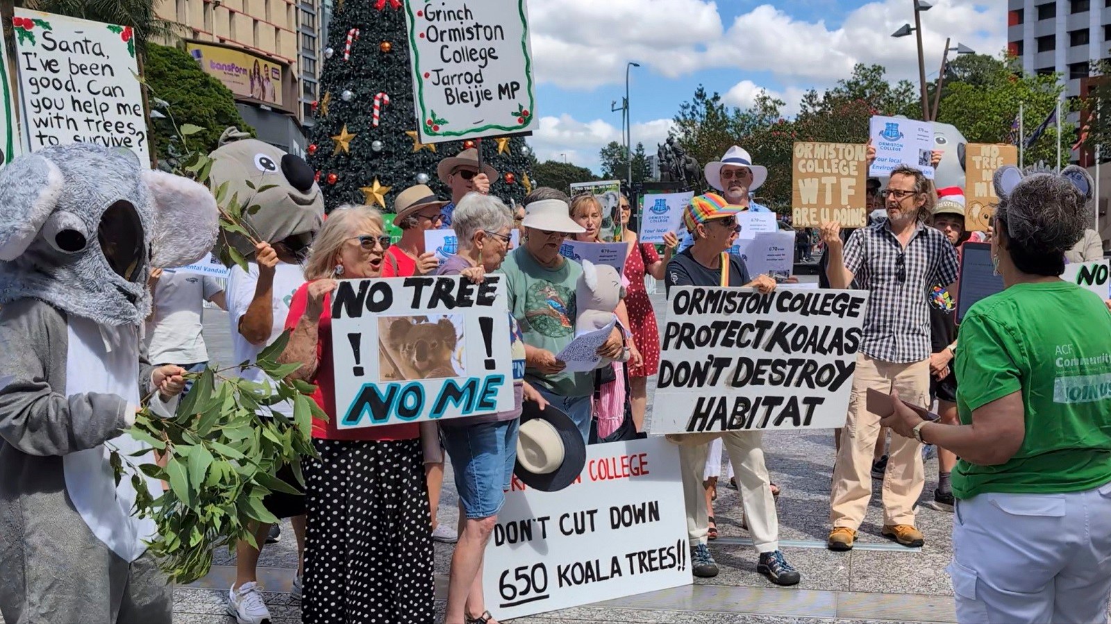 Help Save our Toondah... - Help Save our Toondah Koalas