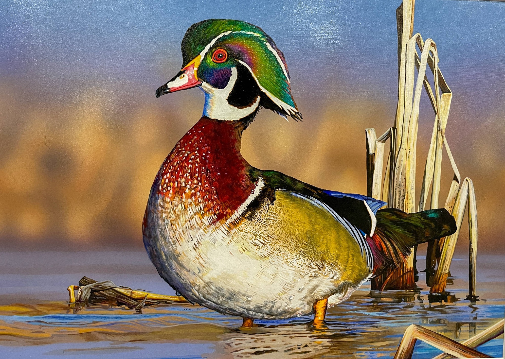 🦆 GOOD NEWS: Tim Taylor's wood duck painting was the winning