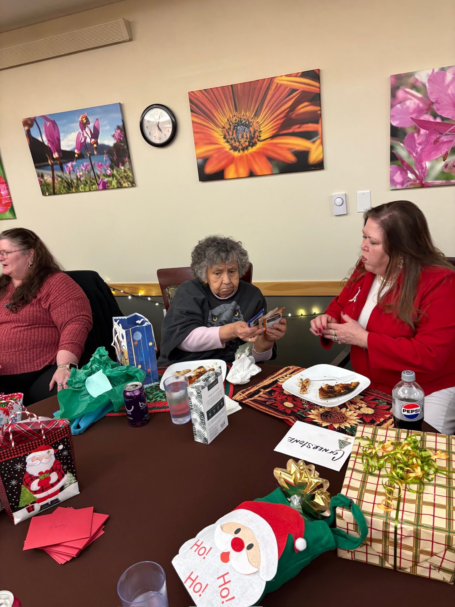 Haines Assisted Living -... - Haines Assisted Living - HAL