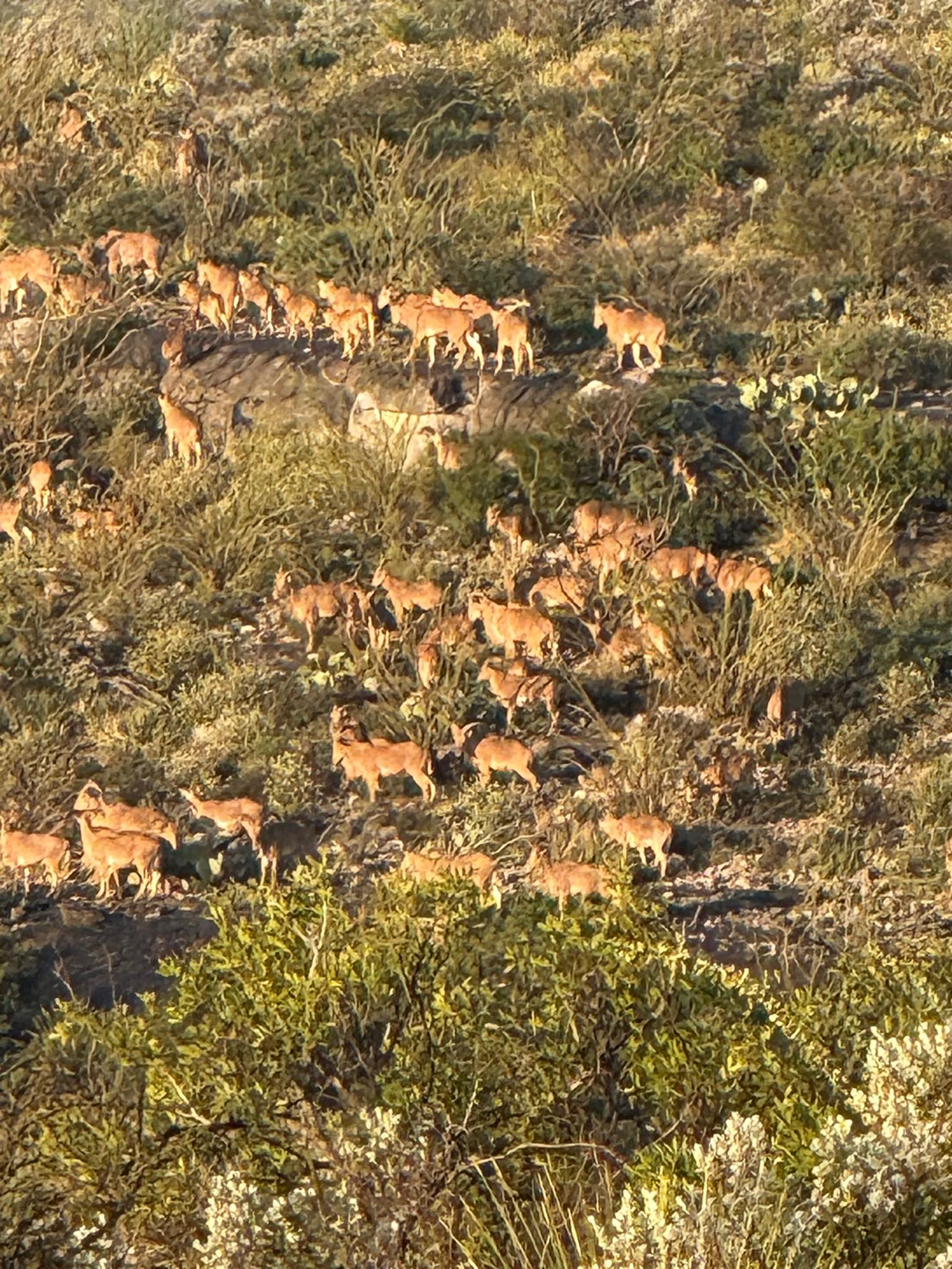 Dr. - The 7 Mile Ranch where we are hunting again this year near ...
