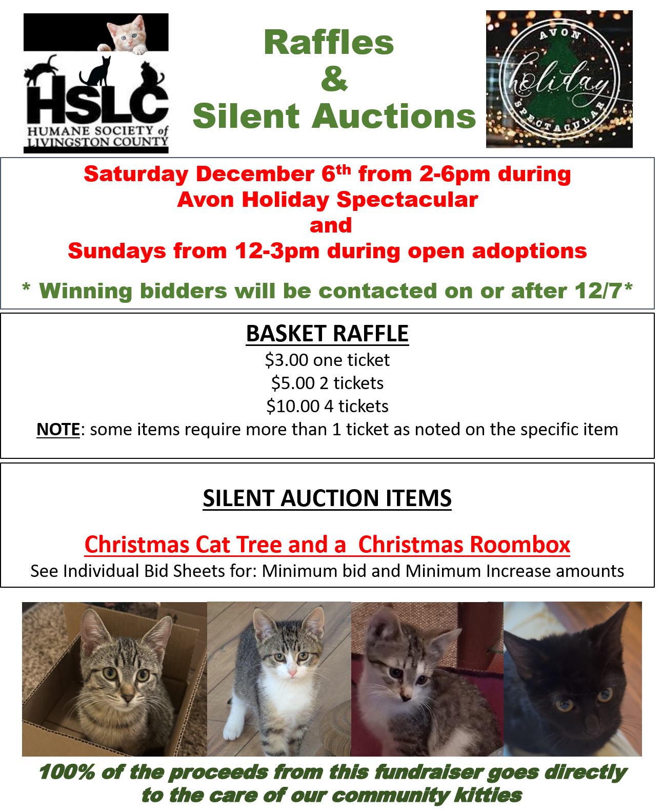 Avon Spectacular - Raffles and Silent Auction Fundraiser
