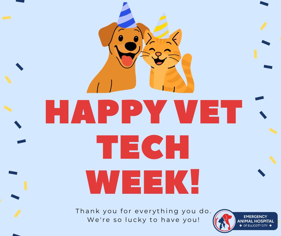 Emergency - Happy Vet Tech Week 2025! This week, we shine a spotlight ...