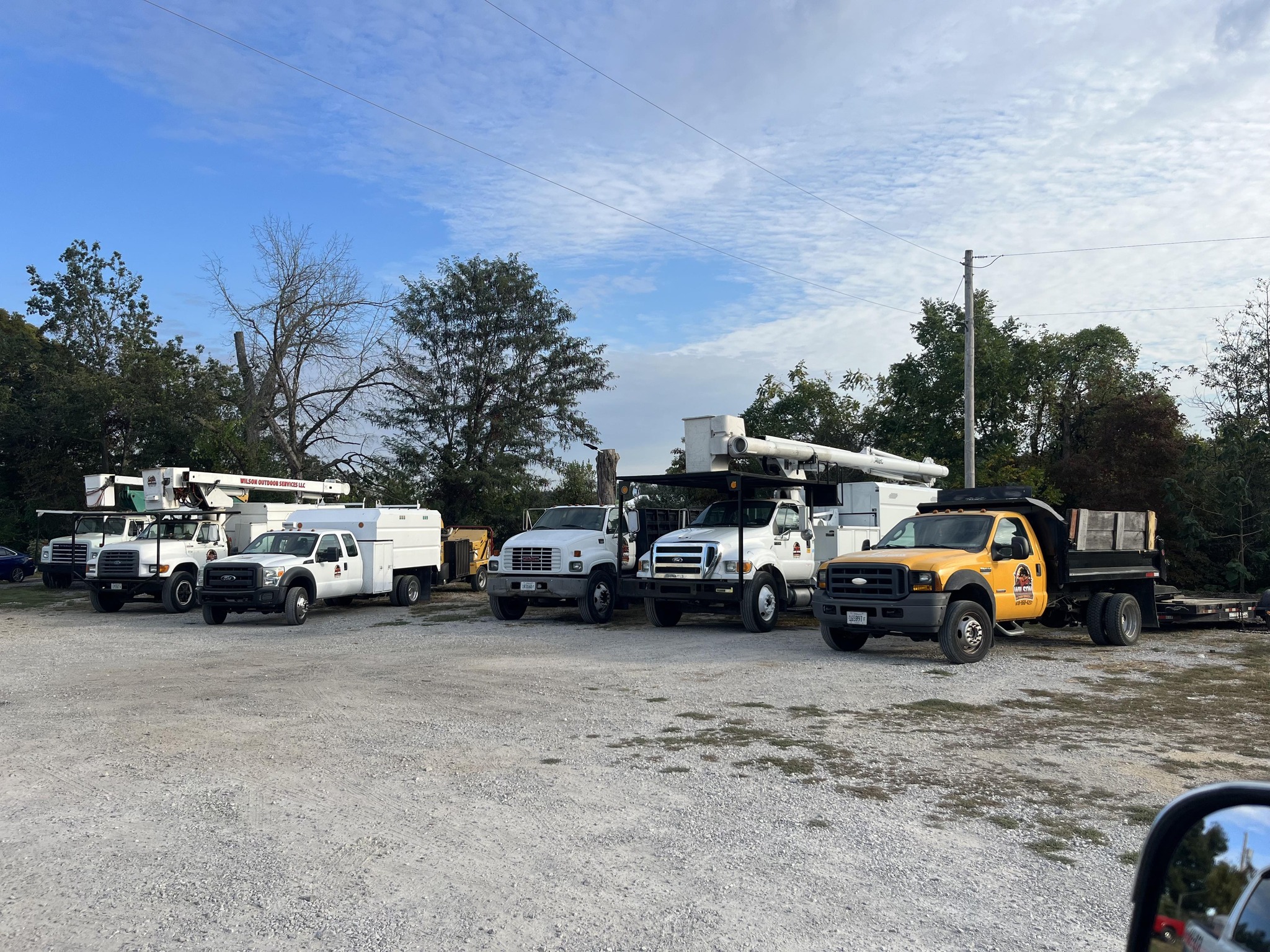 Wilson Tree Service | Alton IL