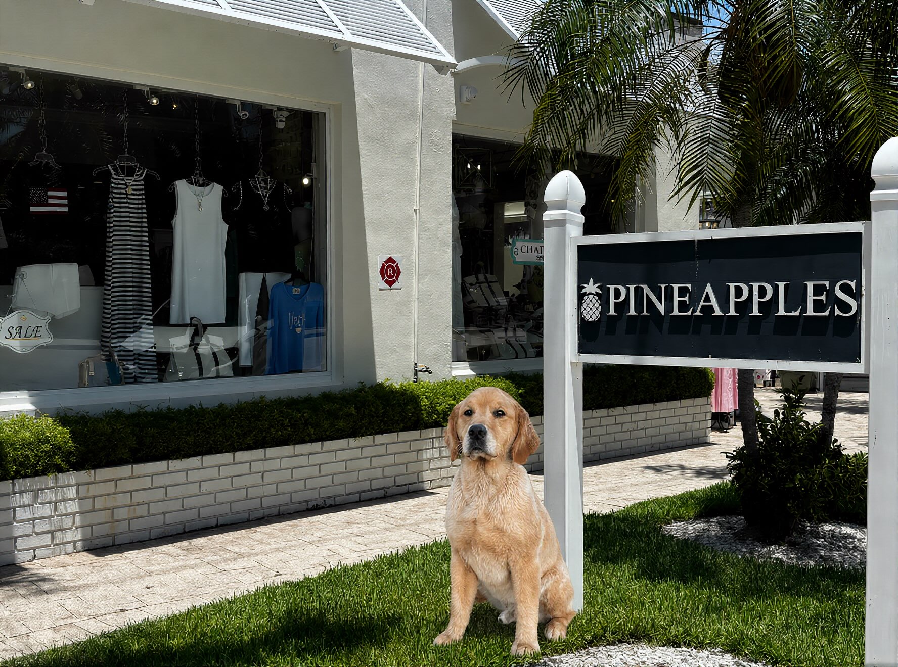 Pineapples Women's Boutique