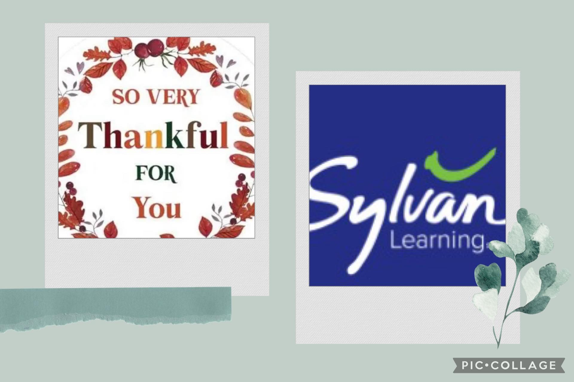 Sylvan Learning - Sylvan Learning (McAllen,TX) added a new...