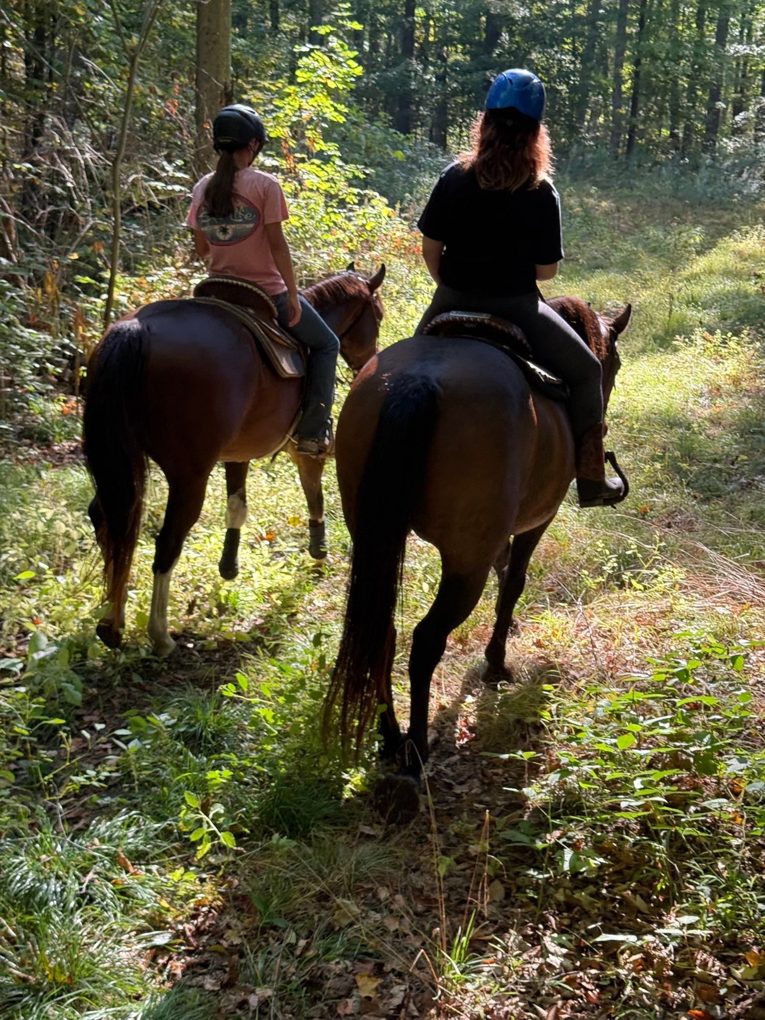 Carousel Stables added a new photo — at... - Carousel Stables