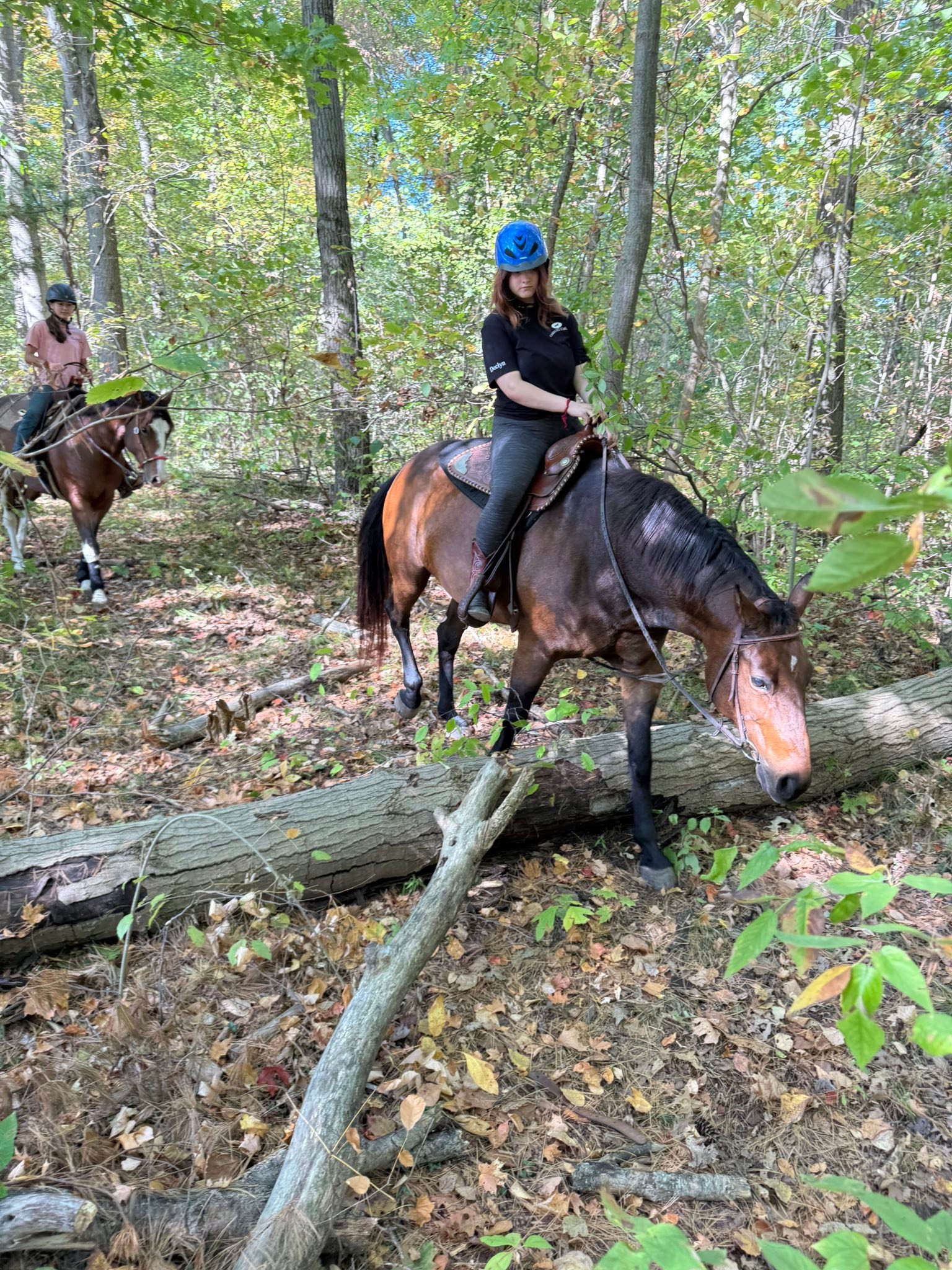 Carousel Stables added a new photo — at... - Carousel Stables