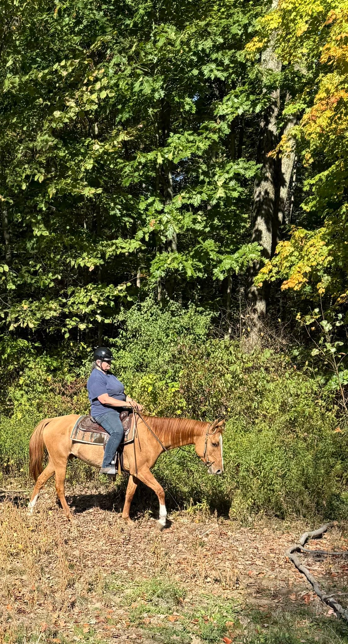 Carousel Stables added a new photo — at... - Carousel Stables