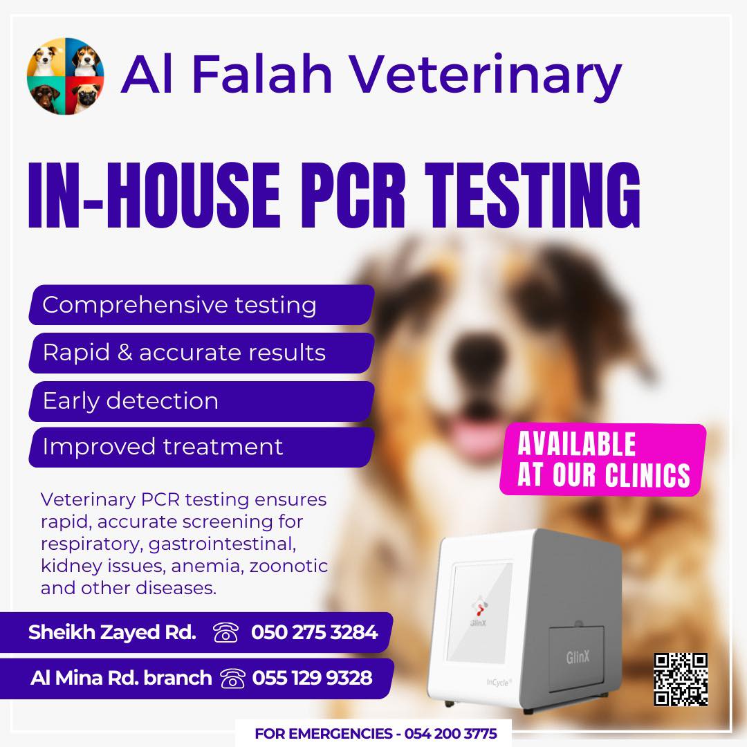 Al - IN-HOUSE PCR TESTING🔬🐾 Fast & accurate veterinary PCR testing now ...
