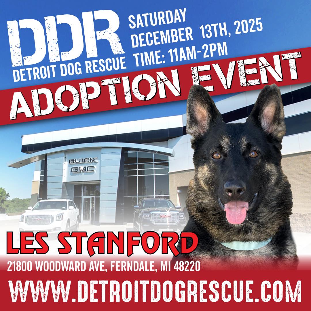 Detroit Dog Rescue added a new photo. - Detroit Dog Rescue