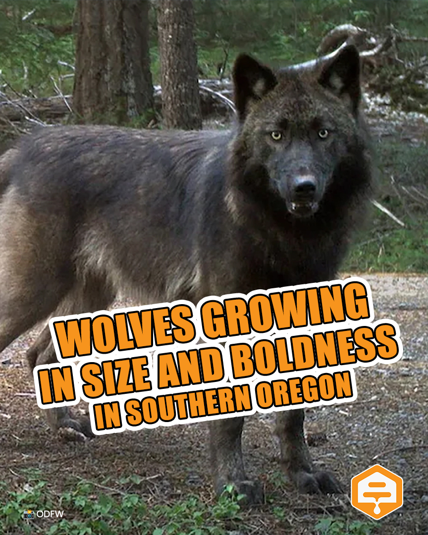 HiveWire Daily - Ranchers Report Rising Livestock Losses... | Facebook