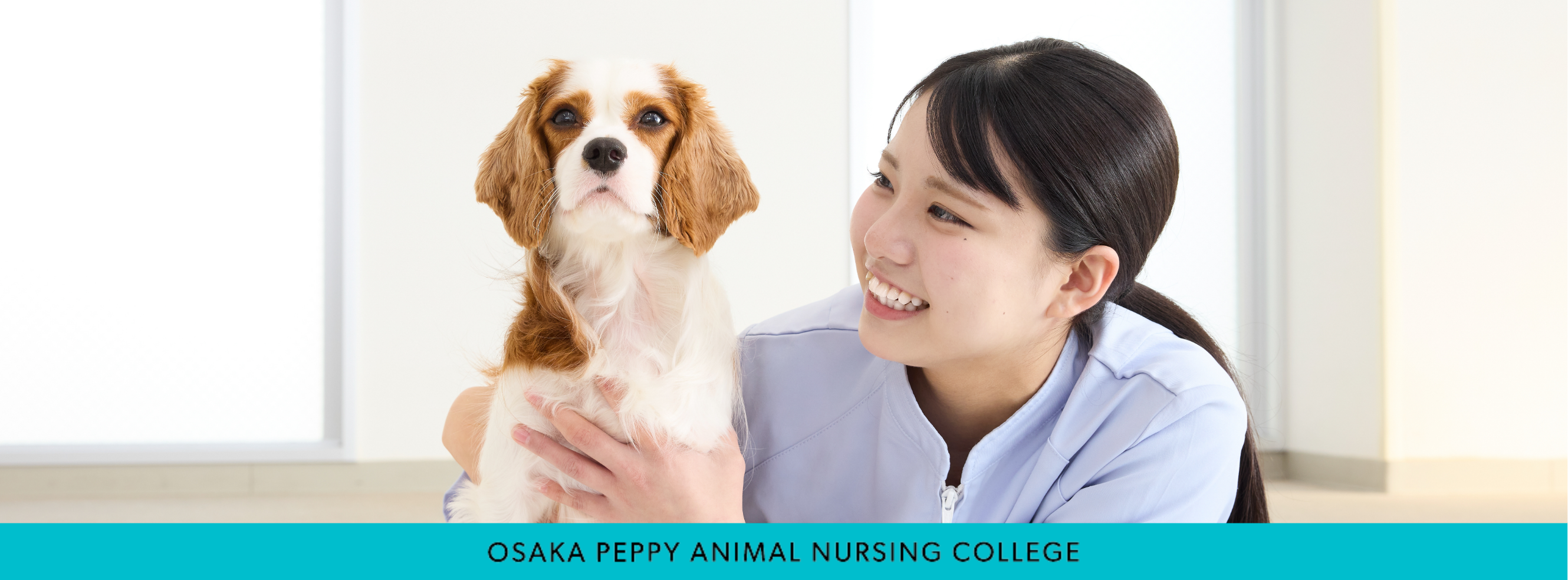 動物看護学 ANIMAL NURSING Large Animal Medicine and Nursing for