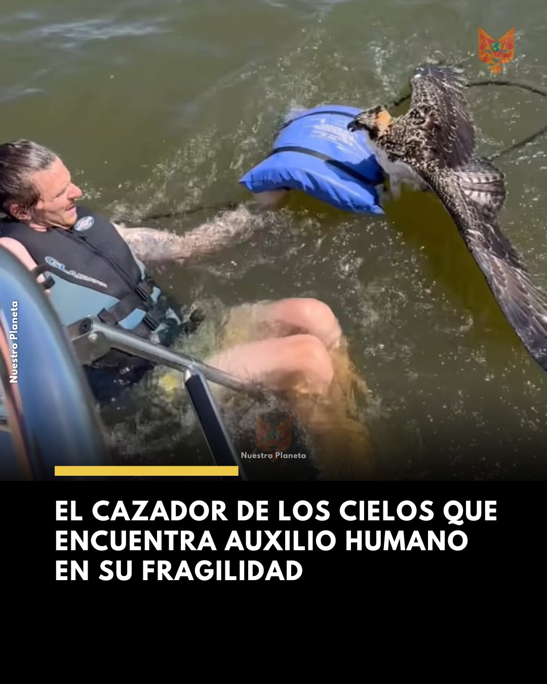 Nuestro - 🐦 Hay colores en la naturaleza que parecen imposibles, como ...