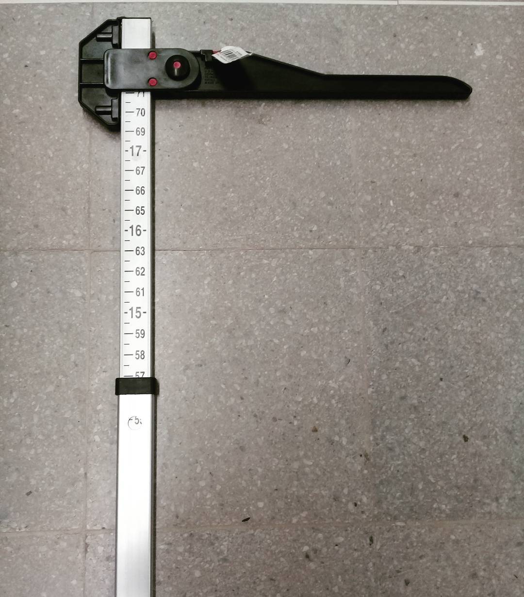 Pinza Molare Per Cavalli – Strumento Veterinario S.S-V0032, 20 Cm, In Acciaio, Pakistan