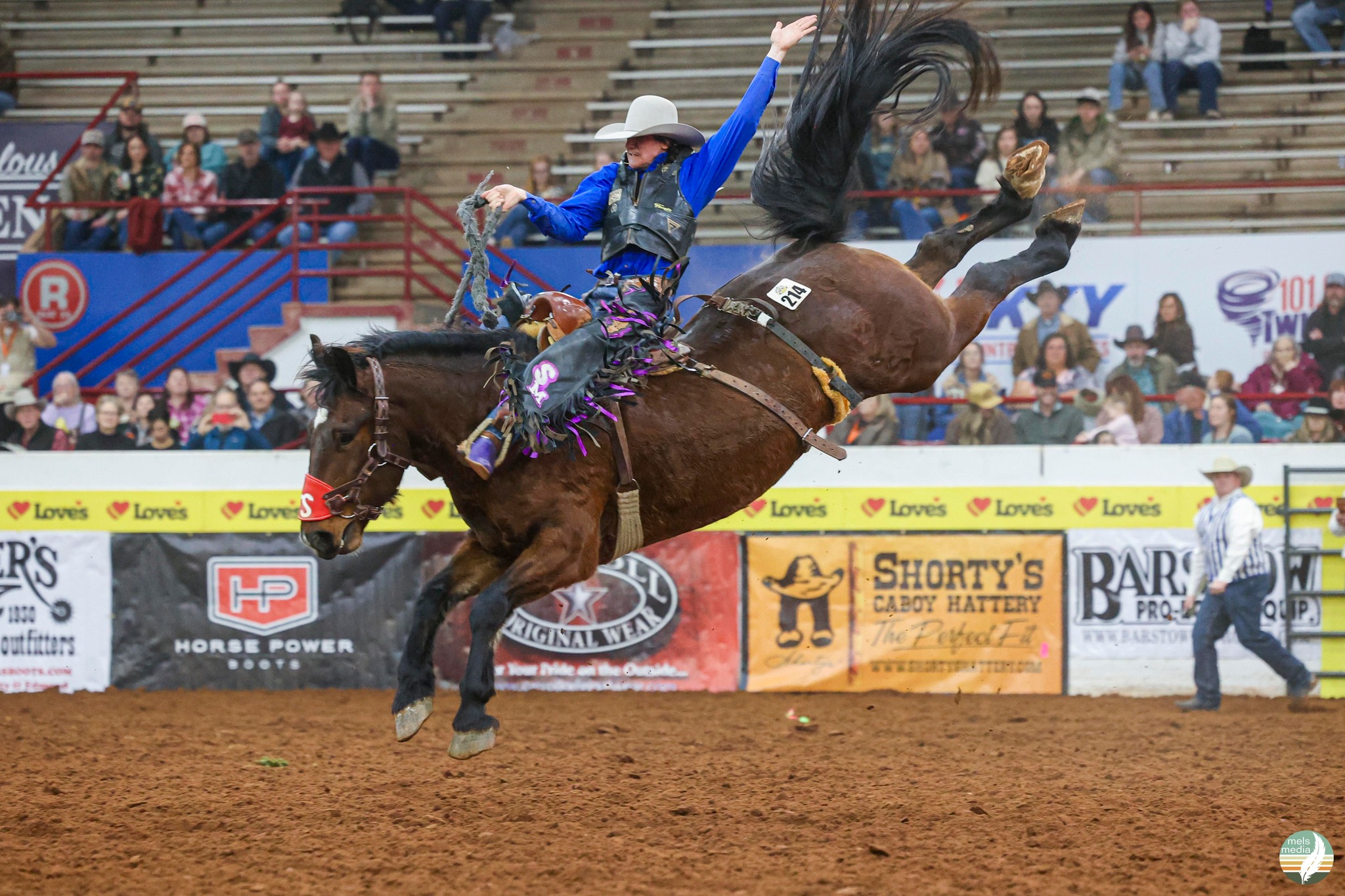 New Classic Pro Rodeo | Woodleaf NC