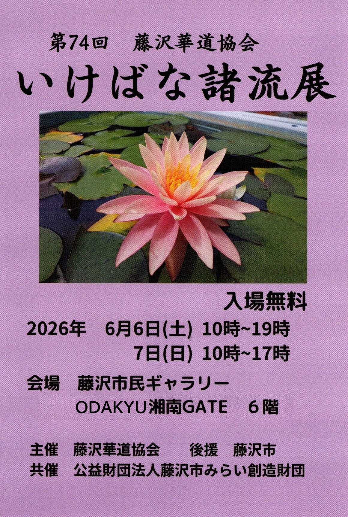 藤沢市民ギャラリー - 【展覧会名】 第74回いけばな諸流展 【会期
