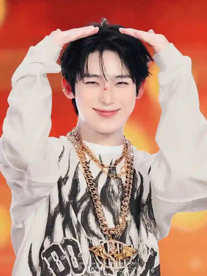 Enhypen Sunoo at Music Bank festival