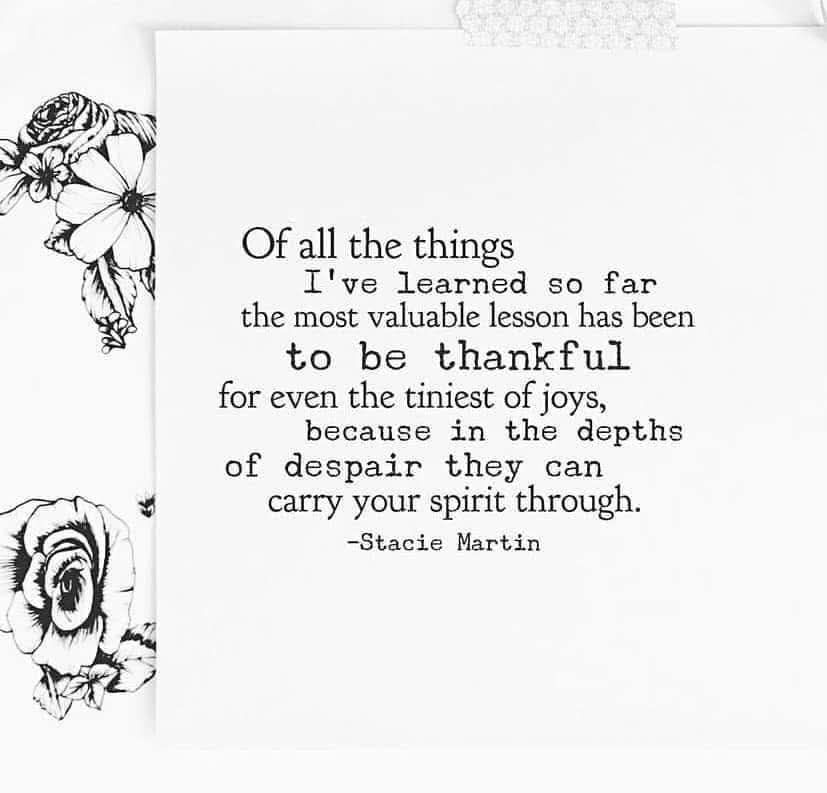 Gratitude plants a seed...... 🌸 🌼 | Facebook