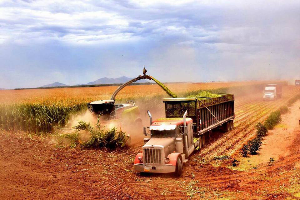 Farming Works